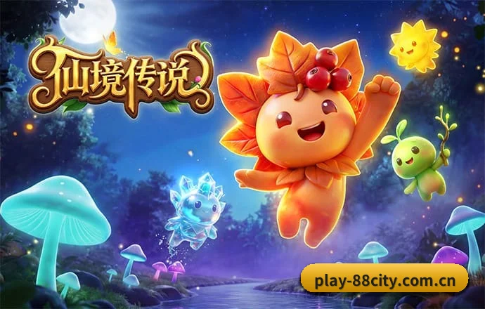 88娱乐城 APP 深度功能